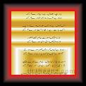 Mirza Ghalib 01 * 22.03.2008 * 348 x 676 * (40KB)